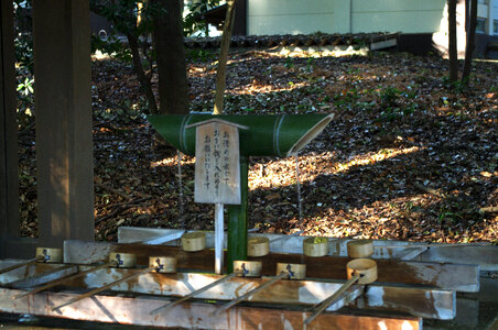 4 Meiji Shrine