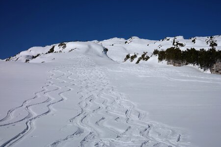 Winter sports winter skiing photo