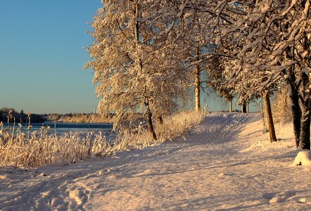 Winter snow ice photo