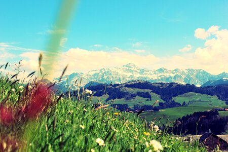 Alpine outlook view
