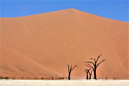 Desert dune sand photo