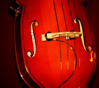 String celo musical