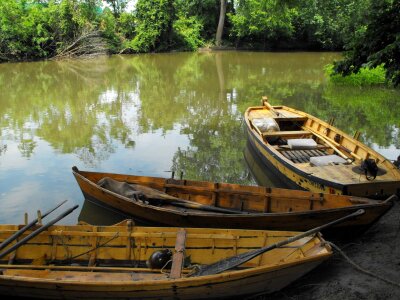 River brown wood