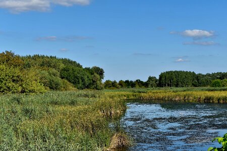 Blue Sky panorama swamp photo