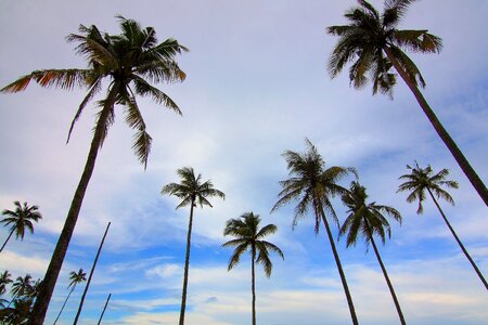 Beach beautiful photo blue sky photo