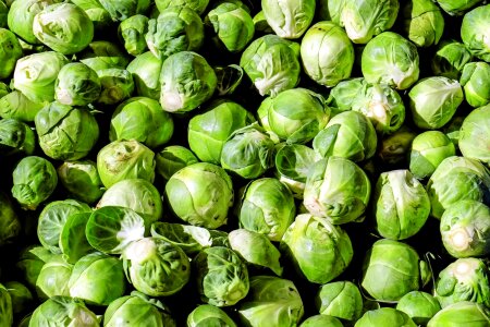 Cabbage calorie delicious
