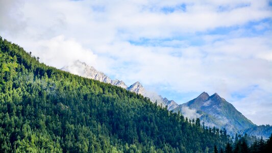 Sforest landscape slope photo