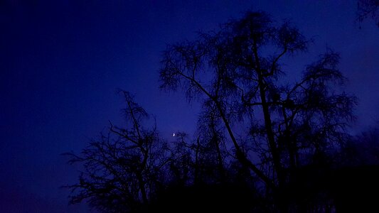 Dark Blue Night photo