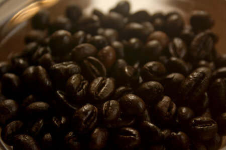 Coffee Beans photo