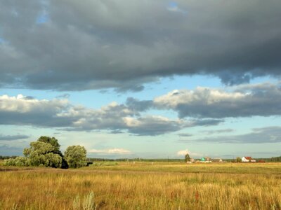 Russia Landscape Scenic Fields