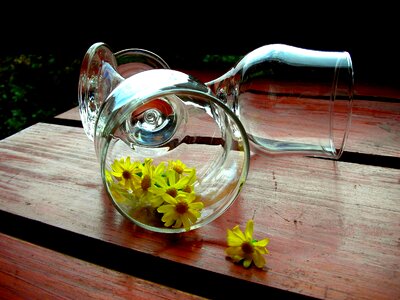 Chamomile yellow flowers wooden desk