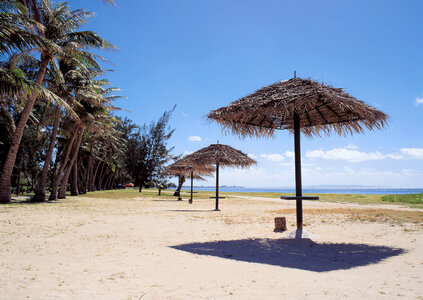 Beach Villas on small tropical island with palm trees photo