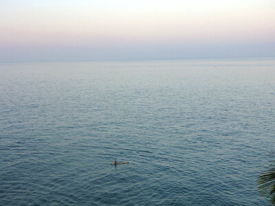 Calm Sea Horizon View photo