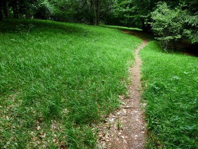 Trail wegchen hike photo