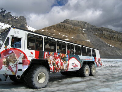 Snow coaches on Athabasca Glacier