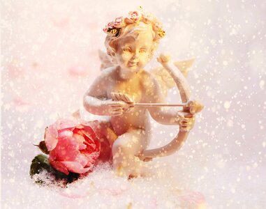 Angel beautiful flowers blossom