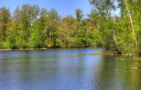 Shore of the lake at Governor Thompson State Park, Wisconsin