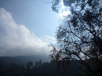 Clouds Mountain Trees