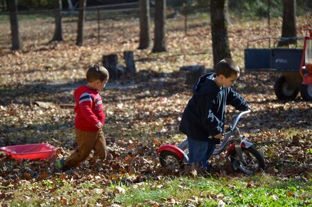 Yard child kid photo