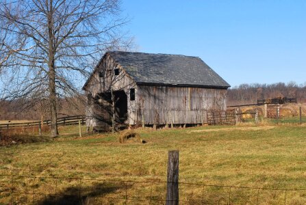 Wood structure architecture