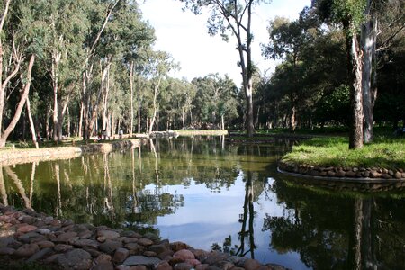 Landscape nature park photo