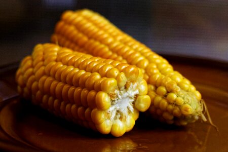 Yellow healthy kernels