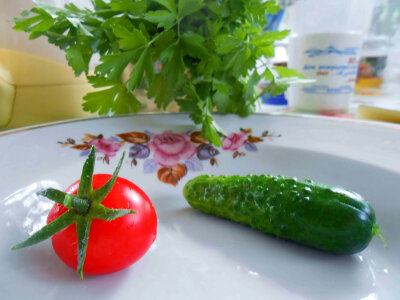 Cucumber and tomato photo