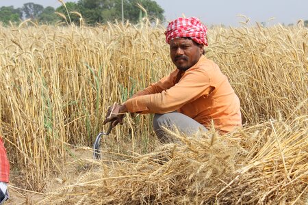 Men farmer india photo