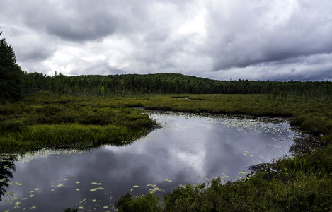 Pond and nature landscape in Algonquin Provincial Park, Ontario
