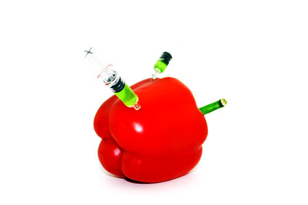 Syringes in pepper photo