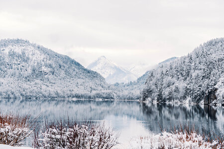 Winter Landscape photo