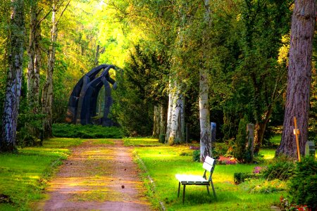 Beautiful Photo cemetery forest