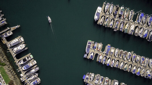Top View of Boats in Marina photo