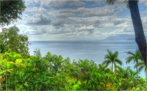 Tropical Ocean with plants and trees under heavy clouds