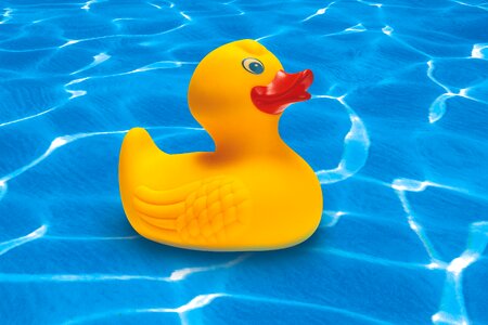 Toys toy duck summer photo