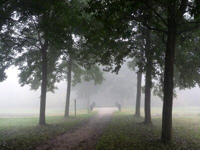 Fog mist nature photo