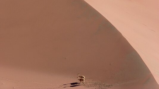 Dry dunes desert photo