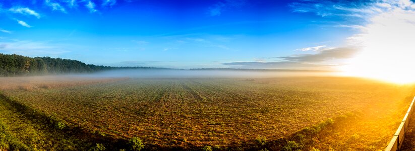 Fog dawn landscape