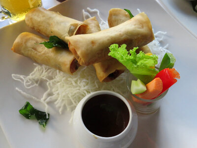 Fried spring rolls with fresh vegetables photo