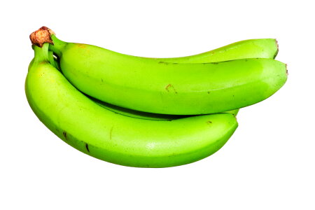 green bananas photo