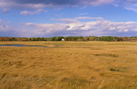 Rachel Carson National Wildlife Refuge