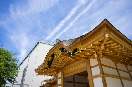 21 Nagoya Castle