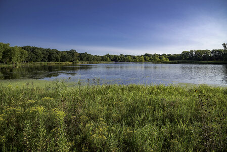 Cherokee Marsh Pond landscape in Yahara Segment