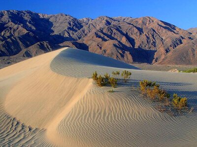 Canada death sand