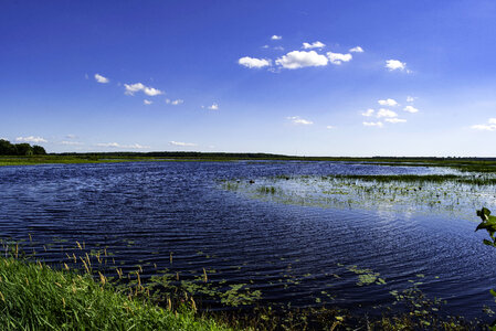 Scenic View Across a large pond at George Meade Wildlife Refuge photo