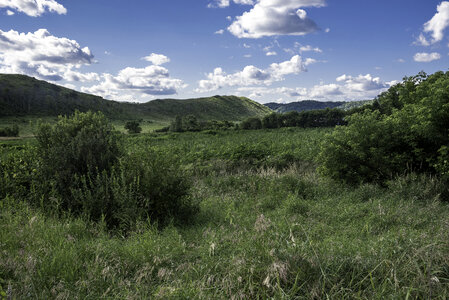 Bushes, Grassland, and hills landscape at Hogback Prairie photo