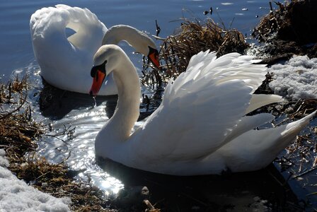 Water lake nature
