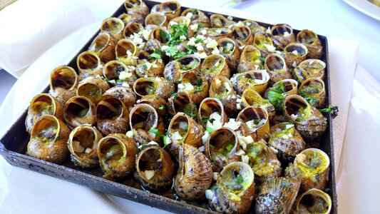 Snails on a platter photo