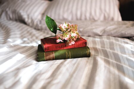 Beds books flowers