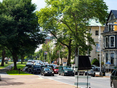 Street with Cars and Buildings photo